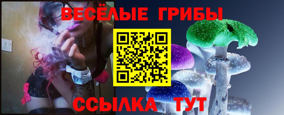 Псилоцибиновые грибы мицелий  Вход с VPN  Волгоград 